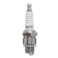 Vela B5HS - NGK - BRANDY 50
