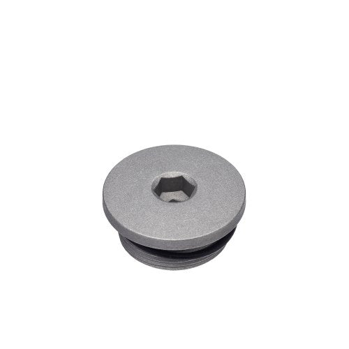 Tampa (Parafuso Bujão 32 mm) do Gerador Lateral Esquerdo do Motor - GP7 - CG 125 (2009 a 2018)